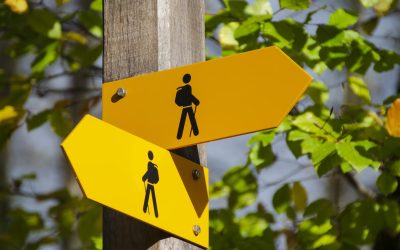 The Art of Wayfinding: Creating Clear and Concise Directional Signage